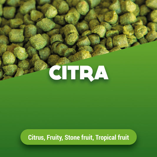 Humle pellets Citra 100 g